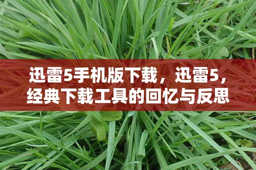 迅雷5手机版下载,迅雷5,经典下载工具的回忆与反思 迅雷5手机版下载,迅雷5,经典下载工具的回忆与反思