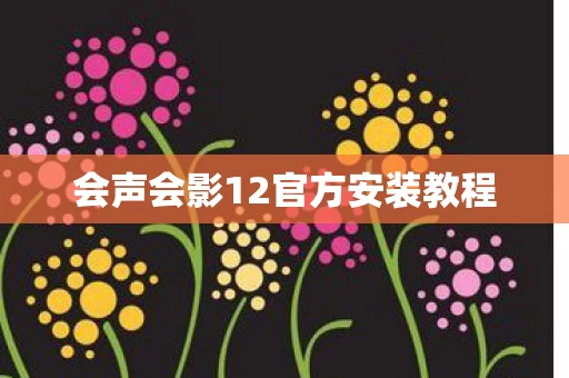 会声会影12官方安装教程图片