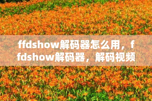 ffdshow解码器怎么用,ffdshow解码器,解码视频与音频的利器 ffdshow解码器怎么用,ffdshow解码器,解码视频与音频的利器