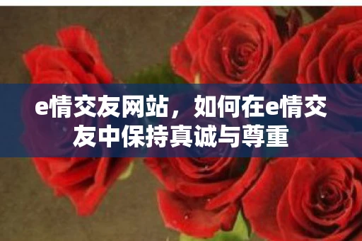 e情交友网站，如何在e情交友中保持真诚与尊重