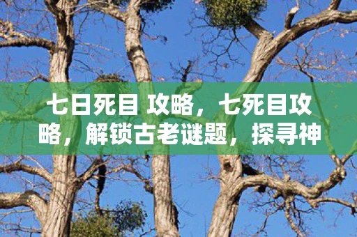 七日死目 攻略,七死目攻略,解锁古老谜题,探寻神秘宝藏 七日死目 攻略,七死目攻略,解锁古老谜题,探寻神秘宝藏