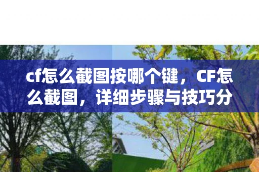 cf怎么截图按哪个键，CF怎么截图，详细步骤与技巧分享