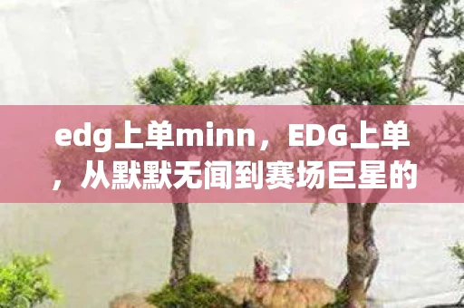 edg上单minn，EDG上单，从默默无闻到赛场巨星的蜕变之路