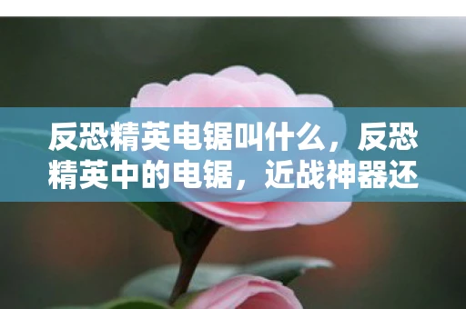 反恐精英电锯叫什么，反恐精英中的电锯，近战神器还是噩梦之源？