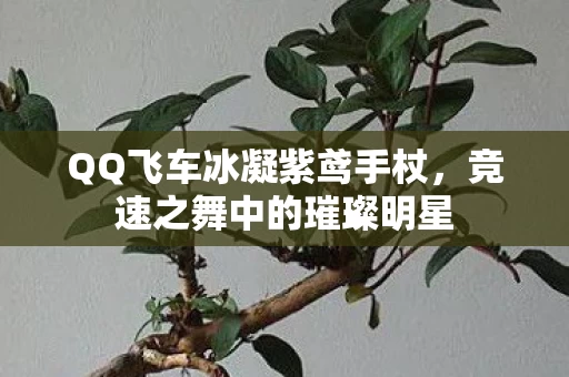 QQ飞车冰凝紫鸢手杖图片
