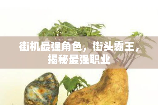 街机最强角色，街头霸王，揭秘最强职业