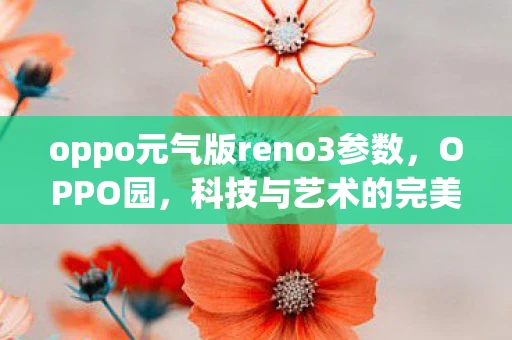 oppo元气版reno3参数，OPPO园，科技与艺术的完美融合