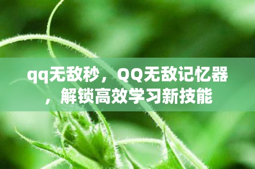 qq无敌秒,QQ无敌记忆器,解锁高效学习新技能 qq无敌秒,QQ无敌记忆器,解锁高效学习新技能