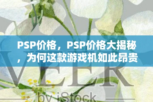 PSP价格，PSP价格大揭秘，为何这款游戏机如此昂贵？