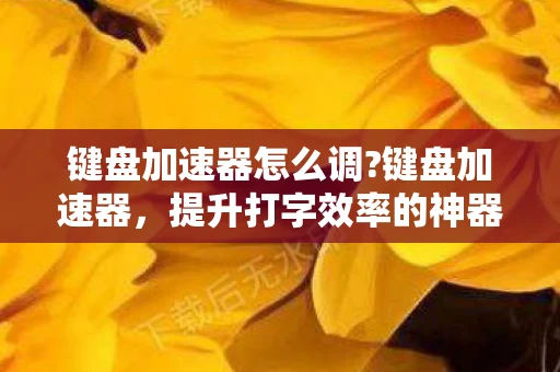 键盘加速器怎么调?键盘加速器，提升打字效率的神器
