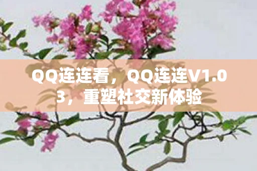 QQ连连看，QQ连连V1.03，重塑社交新体验