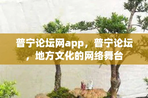 普宁论坛网app，普宁论坛，地方文化的网络舞台
