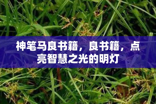 神笔马良书籍，良书籍，点亮智慧之光的明灯