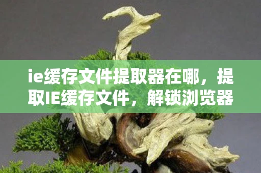 ie缓存文件提取器在哪,提取IE缓存文件,解锁浏览器隐藏的秘密 ie缓存文件提取器在哪,提取IE缓存文件,解锁浏览器隐藏的秘密
