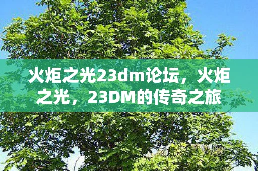 火炬之光23dm论坛，火炬之光，23DM的传奇之旅