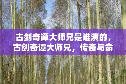 古剑奇谭大师兄是谁演的，古剑奇谭大师兄，传奇与命运的交织