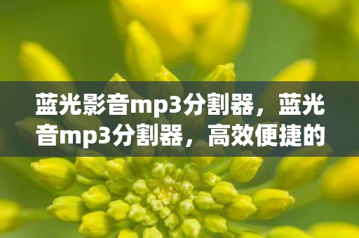 蓝光影音mp3分割器,蓝光音mp3分割器,高效便捷的音乐编辑工具 蓝光影音mp3分割器,蓝光音mp3分割器,高效便捷的音乐编辑工具