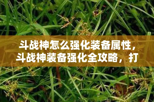 斗战神怎么强化装备属性，斗战神装备强化全攻略，打造无敌战力！