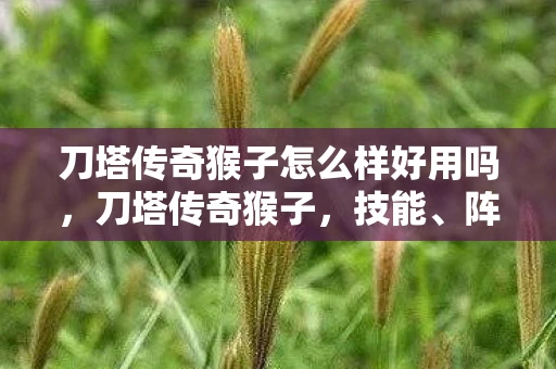 刀塔传奇猴子怎么样好用吗，刀塔传奇猴子，技能、阵容搭配及培养建议