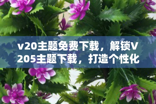 v20主题免费下载，解锁V205主题下载，打造个性化手机体验