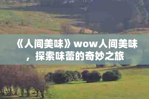 《人间美味》wow人间美味,探索味蕾的奇妙之旅 《人间美味》wow人间美味,探索味蕾的奇妙之旅