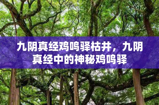 九阴真经鸡鸣驿枯井，九阴真经中的神秘鸡鸣驿