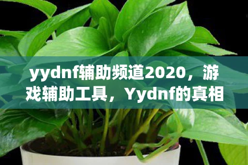yydnf辅助频道2020，游戏辅助工具，Yydnf的真相与风险