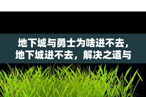 地下城与勇士为啥进不去，地下城进不去，解决之道与游戏维护的重要性
