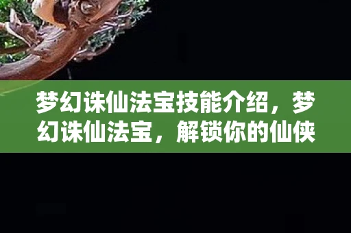 梦幻诛仙法宝技能介绍，梦幻诛仙法宝，解锁你的仙侠之旅