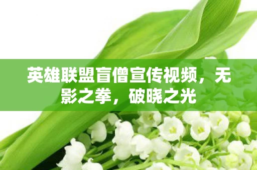 英雄联盟盲僧宣传视频图片