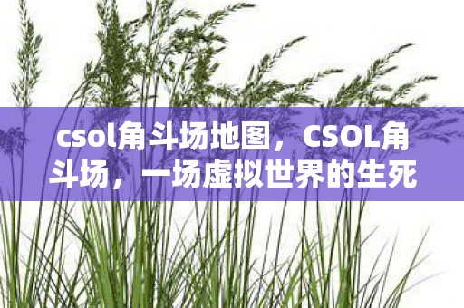 csol角斗场地图,CSOL角斗场,一场虚拟世界的生死较量 csol角斗场地图,CSOL角斗场,一场虚拟世界的生死较量