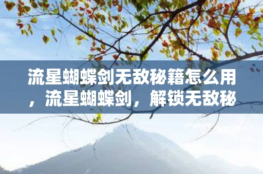 流星蝴蝶剑无敌秘籍怎么用，流星蝴蝶剑，解锁无敌秘籍的传奇之旅