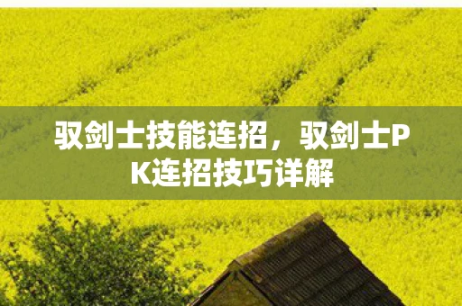 驭剑士技能连招,驭剑士PK连招技巧详解 驭剑士技能连招,驭剑士PK连招技巧详解