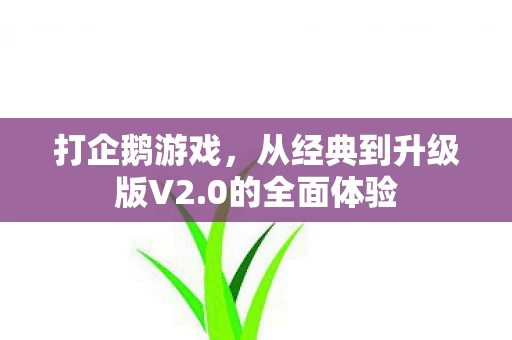 从经典到升级版V2图片