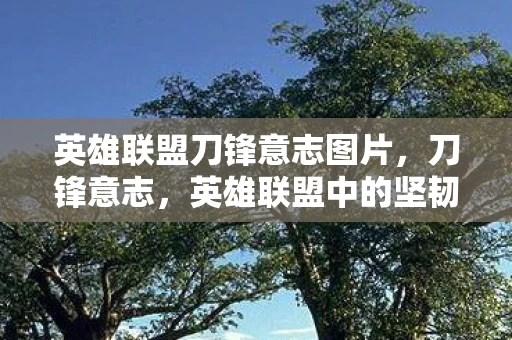 英雄联盟刀锋意志图片，刀锋意志，英雄联盟中的坚韧与荣耀