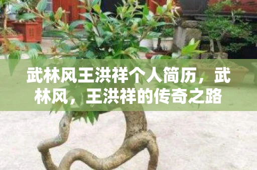 武林风王洪祥个人简历,武林风,王洪祥的传奇之路 武林风王洪祥个人简历,武林风,王洪祥的传奇之路