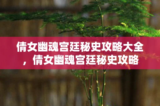 倩女幽魂宫廷秘史攻略大全，倩女幽魂宫廷秘史攻略