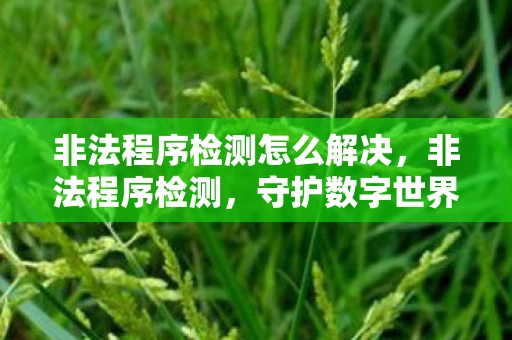 非法程序检测怎么解决,非法程序检测,守护数字世界的安全卫士 非法程序检测怎么解决,非法程序检测,守护数字世界的安全卫士