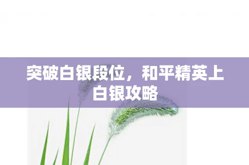 和平精英上白银攻略图片
