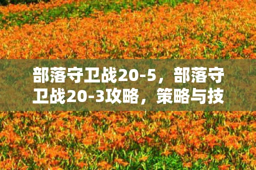 部落守卫战20-5，部落守卫战20-3攻略，策略与技巧的全面解析