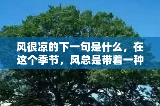 风很凉的下一句是什么，在这个季节，风总是带着一种特有的凉意，轻轻拂过脸庞，仿佛能吹进人的心底，带走所有的烦躁与不安。走在街头，或是坐在窗前，都能感受到这股来自大自然的馈赠，它以一种无声的方式，提醒我们珍惜每一个当下