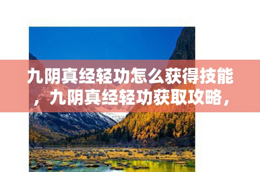 九阴真经轻功怎么获得技能，九阴真经轻功获取攻略，揭秘江湖绝学的获取途径