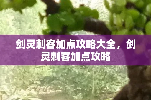 剑灵刺客加点攻略大全，剑灵刺客加点攻略