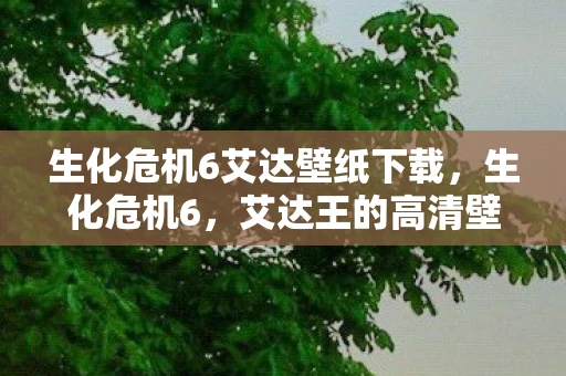 生化危机6艾达壁纸下载，生化危机6，艾达王的高清壁纸合集