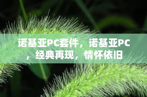 诺基亚PC套件，诺基亚PC，经典再现，情怀依旧