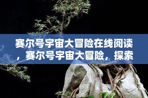 赛尔号宇宙大冒险在线阅读，赛尔号宇宙大冒险，探索未知，挑战极限