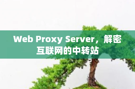 Web Proxy Server，解密互联网的中转站