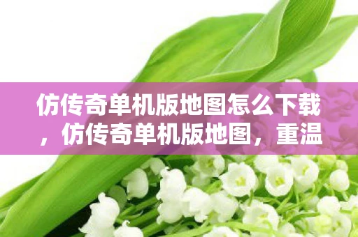 仿传奇单机版地图怎么下载，仿传奇单机版地图，重温经典，探索未知