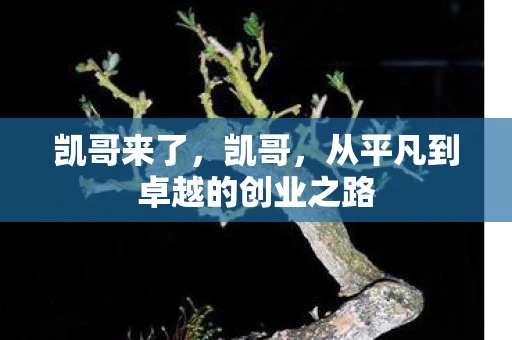 凯哥来了,凯哥,从平凡到卓越的创业之路 凯哥来了,凯哥,从平凡到卓越的创业之路