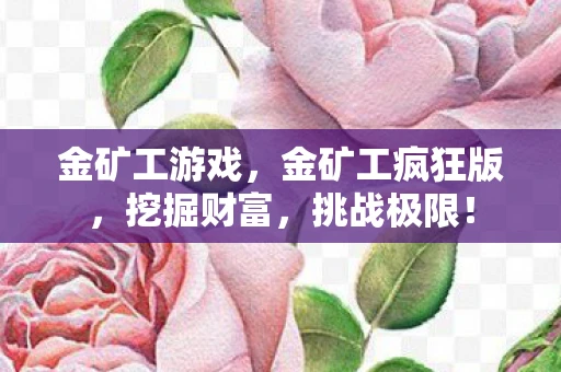 金矿工游戏，金矿工疯狂版，挖掘财富，挑战极限！